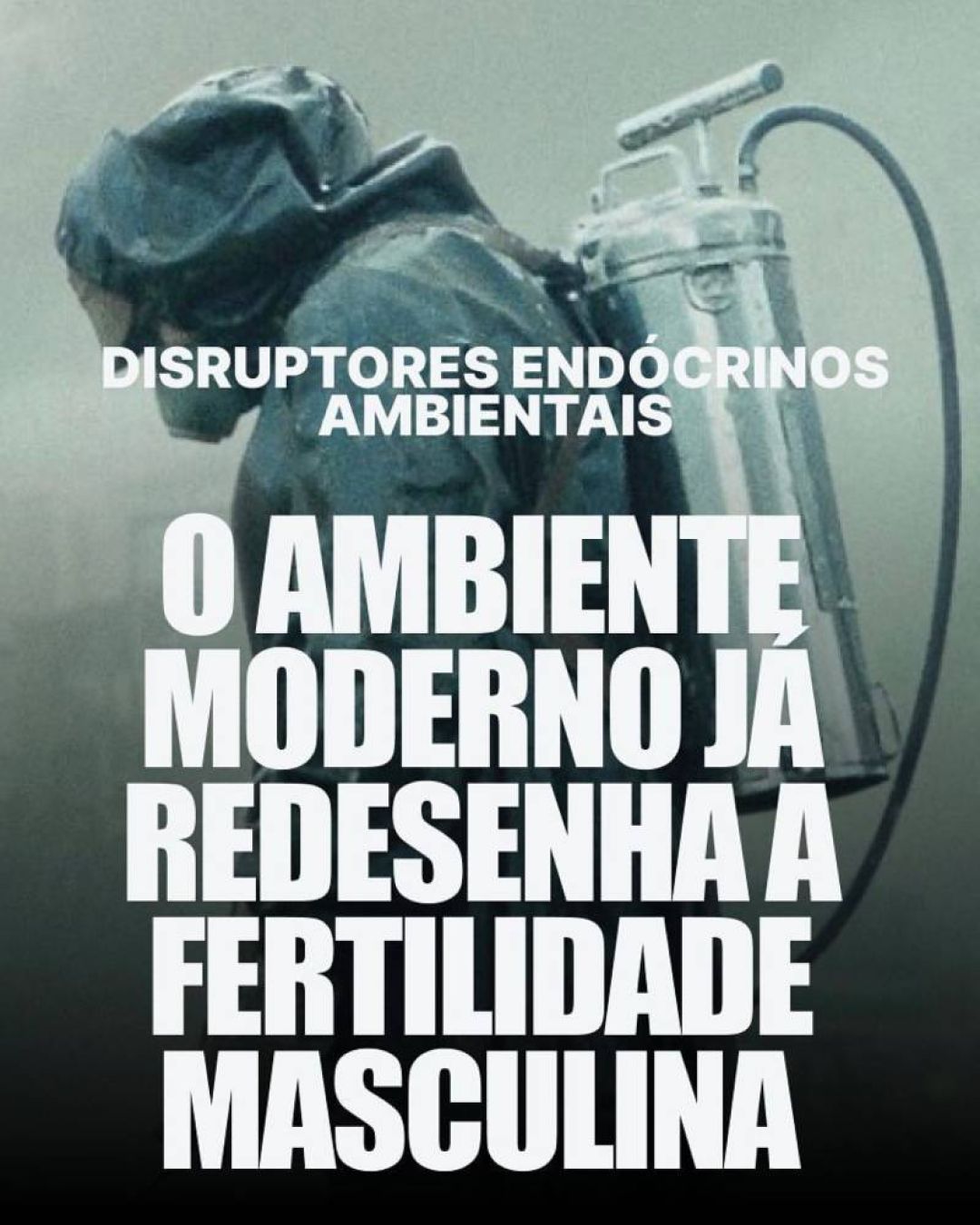 Disruptores endócrinos ambientais